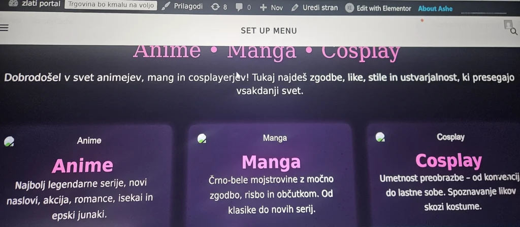 Prvi koraki pri izdelavi spletne trgovine Zlati Portal